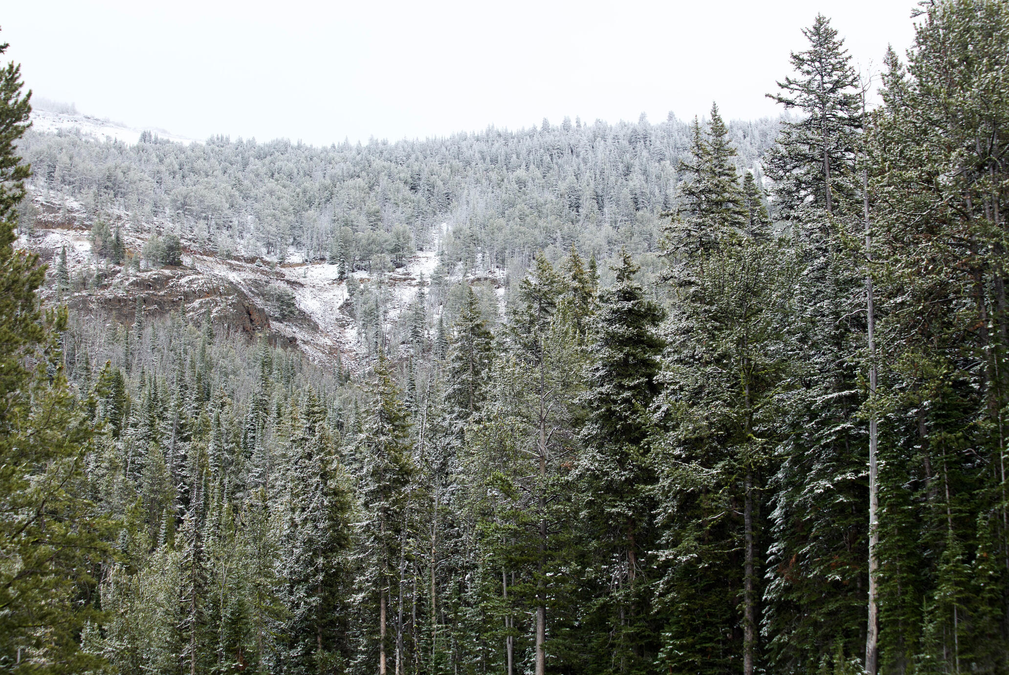 The Earth Collection