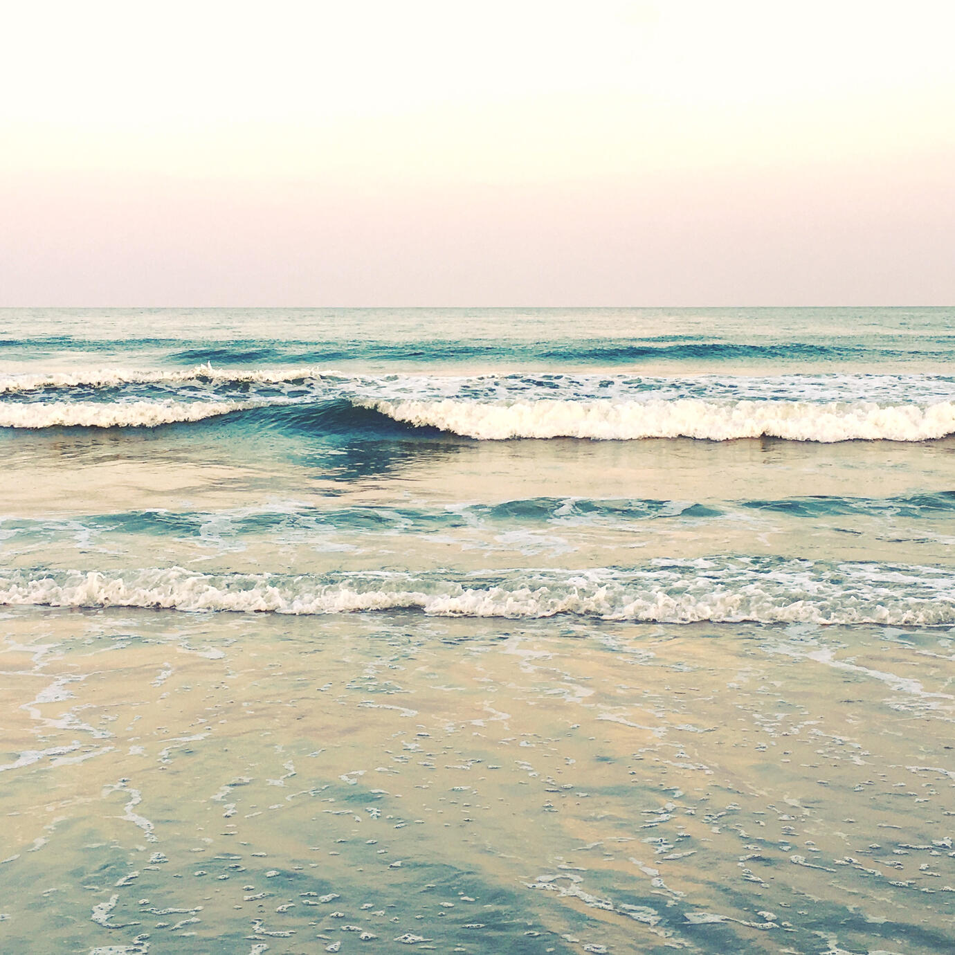 The Printable Collection